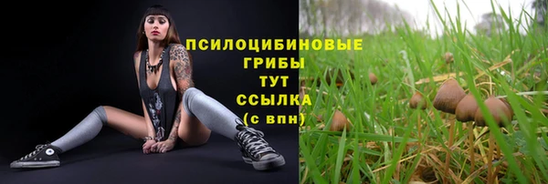 spice Богданович