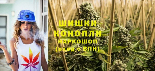 spice Богданович