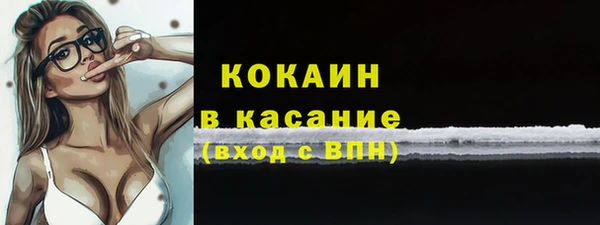 соль ск Богородск
