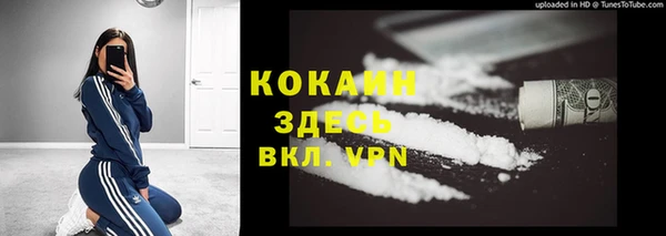 соль ск Богородск
