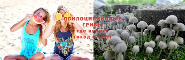 spice Богданович