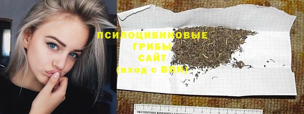соль ск Богородск