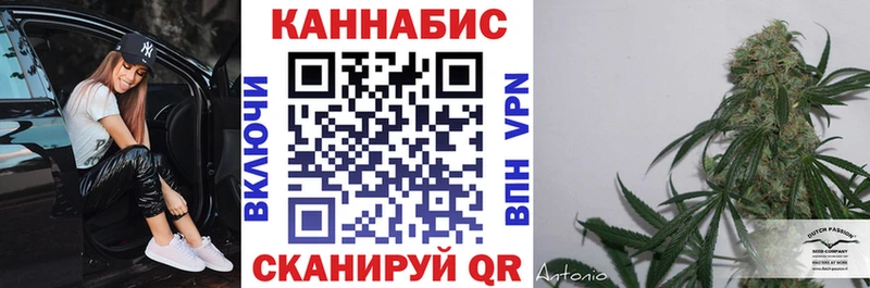 Бошки Шишки планчик  магазин  наркотиков  Беломорск 